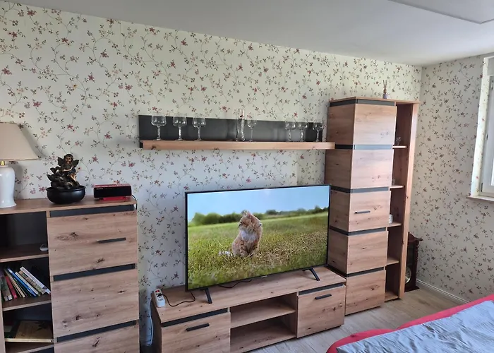 아파트 Lewitz-urlaub